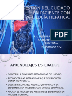 Gestión Del Cuidado en Paciente Con Patología Hepática 2015