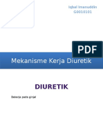 Mekanisme Kerja Diuretik