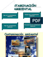 diapositivacontaminacionambiental-090512170559-phpapp02