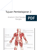 Anatomi Otot Rangka