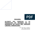 Alcance Del Derecho a La Promoción de Pruebas en La Audiencia de Juicio Del Proceso Laboral Venezolano.