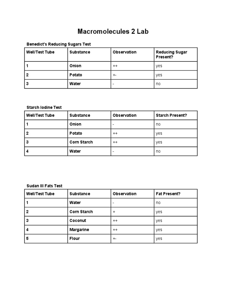 Macromolecule Testing Lab Results | PDF | Starch | Fat