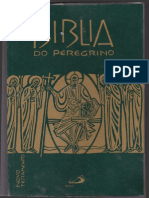 Biblia Do Peregrino Novo Testamento PDF