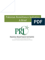 Pakistan Remittance Initiative A Brief