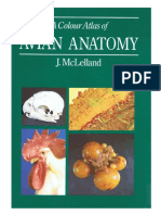 A Colour Atlas of Avian Anatomy.pdf