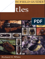 A Field Guide to the Beetles of North America.pdf