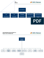 Petrom_Organization_Chart_ro.pdf