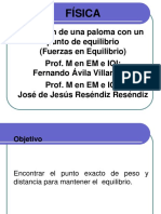 Equilibrio de Fuerzas en Una Paloma Basico 2010 Fisica I PDF