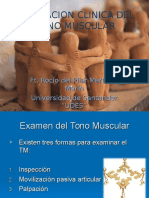 Examen Del Tono Muscular Escalas