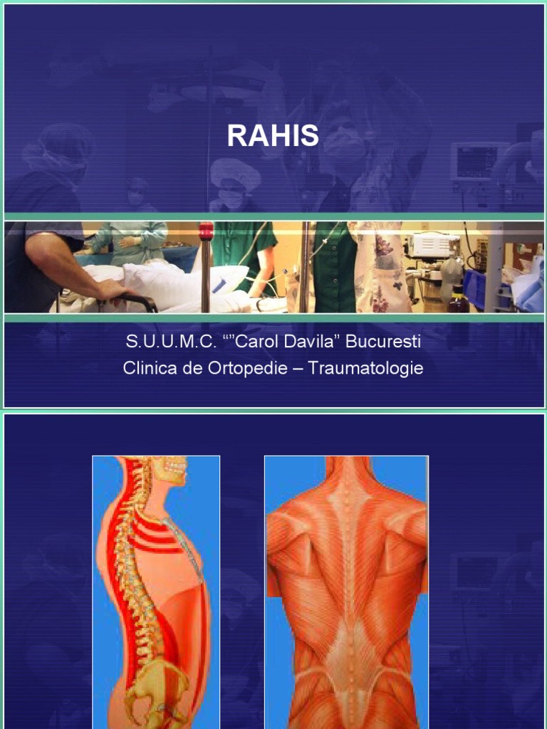 Rahis Bazin | PDF