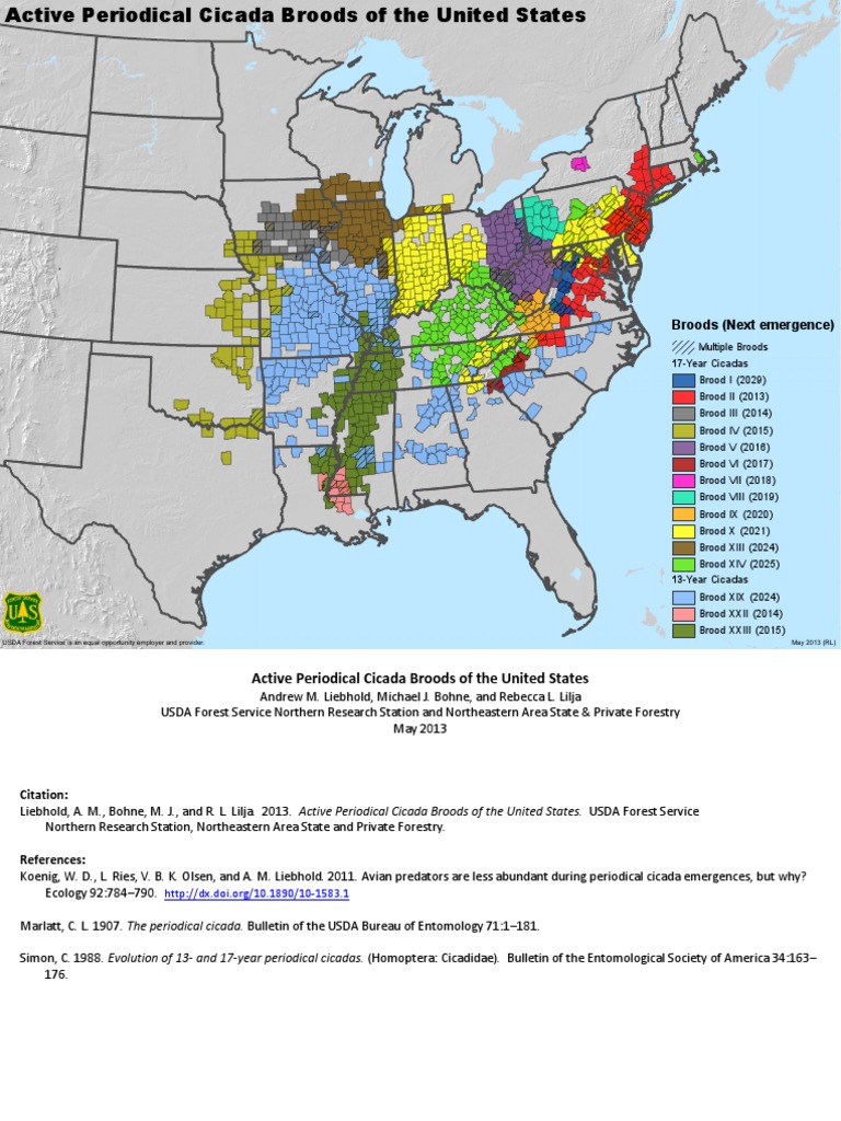 Cicada Brood Static Map PDF