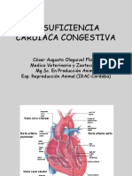 Insuficiencia Cardiaca Congestiva