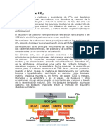 Los sumideros de CO2.docx