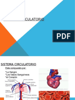 Aparato Circulatorio