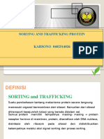 Sorting and Trafficking Protein