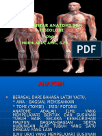 Anatomi Dasar