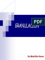 T.06-GRANULACION.pdf