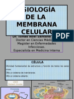 Fisiología membrana celular