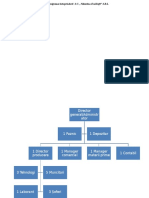 Organigrama Plan de Afaceri