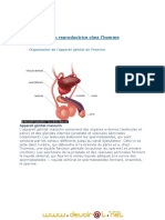 Cours Complet Reproduction PDF