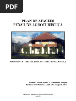 Plan de Afaceri