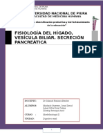 Fisiologia Pancreas Higado Vesiculabiliar