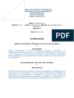 Autoevaluación (Proyecto II) 14-05-2016