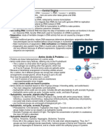 Central Dogma and Protein Structure