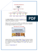 Anatomía Sistemática