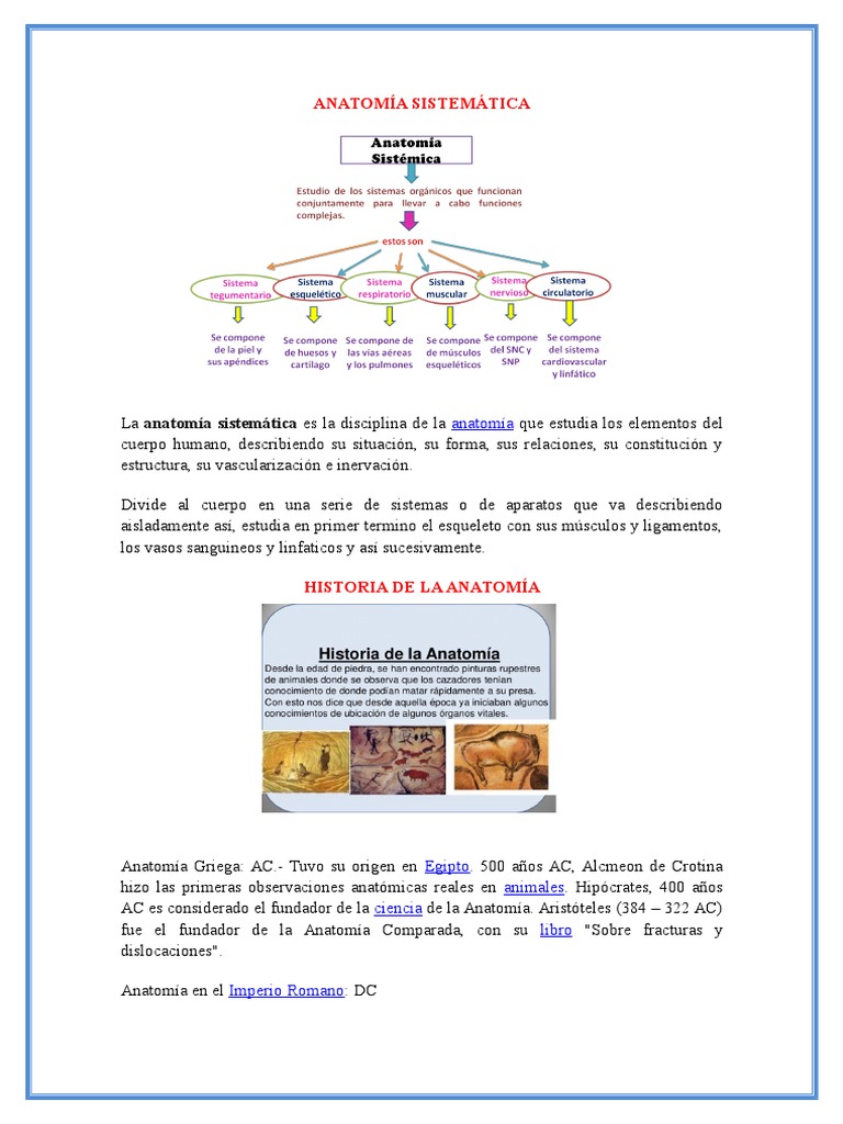 Anatomía Sistemática: Definición y Ejemplos | PDF | Anatomía | Anatomia ...