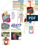 DEBER DE CIENCIAS.docx