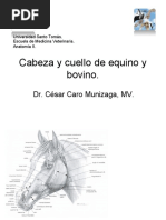 (807380039) 012-2013-AV2 Cabeza y Cuello Equinos y Rumiantes.