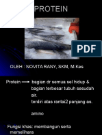 PROTEIN (kul IV).ppt