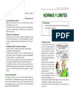 NORMAS LIMITES.pdf