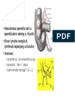 Vaskularisasi Apendiks Dari A. Apendikularis Cabang A. Iliocolica - Aliran Lymphe Mengikuti Lymfonodi Sepanjang A.iliocolica - Innervasi