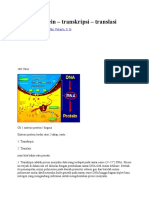 Sintesis Protein