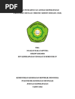 Download LP CKD by raka SN312633094 doc pdf