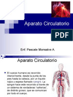 Sistema Circulatorio