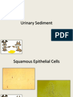 Download Sedimen Urin by Louise Emy Violetta SN312646766 doc pdf