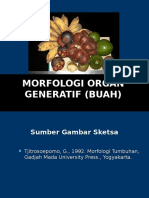 S1-Morfologi Organ Generatif (BUAH) 2