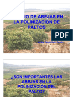 manejo_de_abejas_en_paltos.pdf