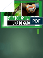 Uña de Gato