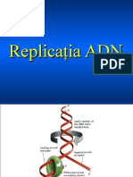 Replica Re A