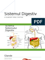 Sistemul Digestiv