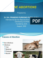 Causes and Prevention of Bovine Abortions