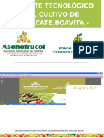 Paquete Tecnologico Aguacate Boavita