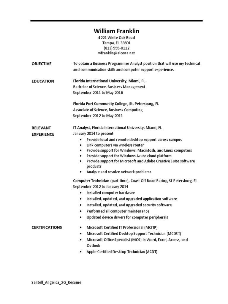 Business Programmer Analyst Resume | PDF | Career & Growth | Computers