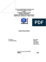 Sistema Renal Del Recien Nacido (TRABAJO)