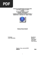 Sistema Renal Del Recien Nacido (TRABAJO)
