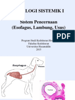 Patologi Sistem Pencernaan Esofagus Lambung